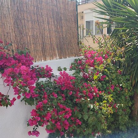Apartment With Private Garden - Central Location Lisbon Exterior photo